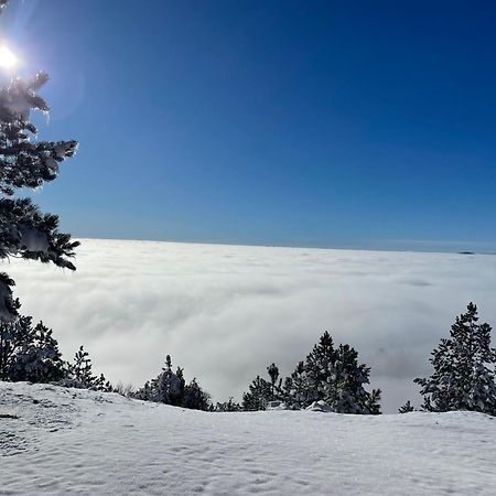 Brvnara Iverak Mokra Gora Zewnętrze zdjęcie